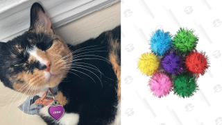 My Cat Loves This 30-Pack of Sparkly Balls More Than She Loves Me